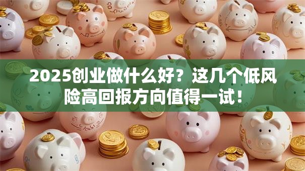 2025创业做什么好？这几个低风险高回报方向值得一试！