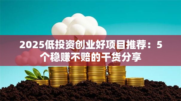 2025低投资创业好项目推荐：5个稳赚不赔的干货分享