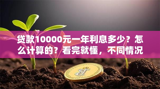 贷款10000元一年利息多少？怎么计算的？看完就懂，不同情况利息差不少！