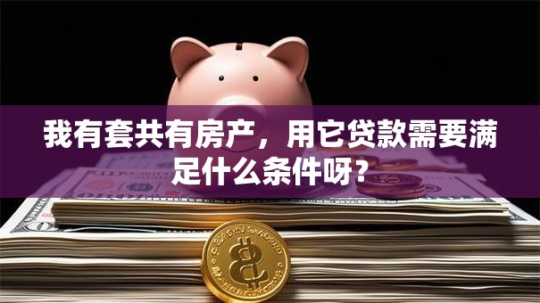 我有套共有房产，用它贷款需要满足什么条件呀？
