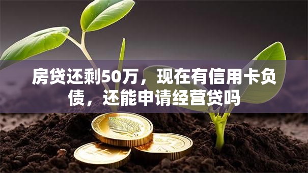 房贷还剩50万，现在有信用卡负债，还能申请经营贷吗