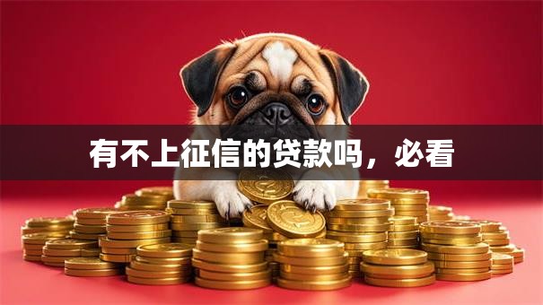 有不上征信的贷款吗，必看