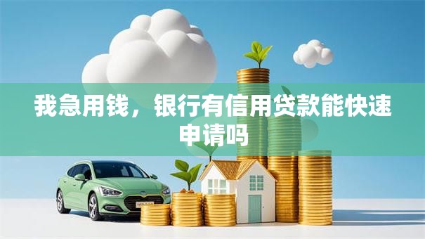 我急用钱，银行有信用贷款能快速申请吗