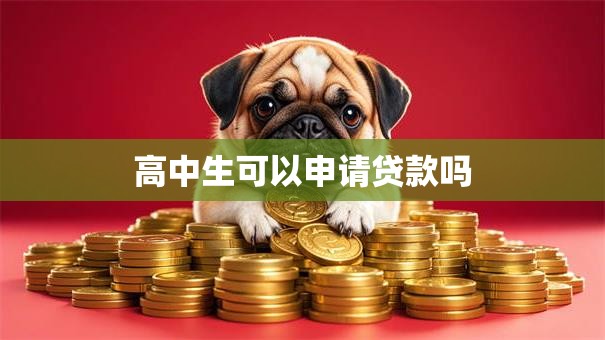 高中生可以申请贷款吗