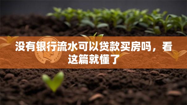 没有银行流水可以贷款买房吗，看这篇就懂了