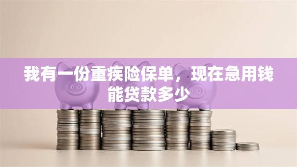 我有一份重疾险保单，现在急用钱能贷款多少