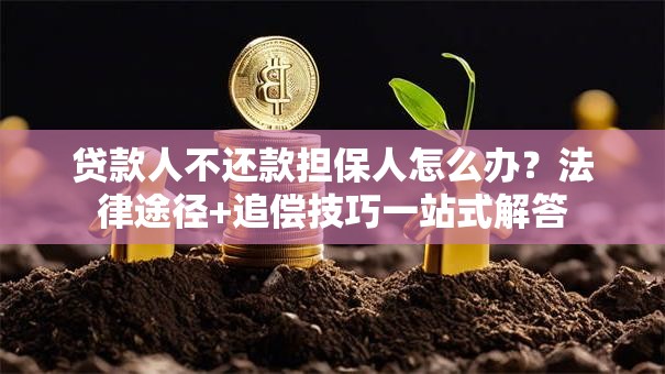 贷款人不还款担保人怎么办？法律途径+追偿技巧一站式解答