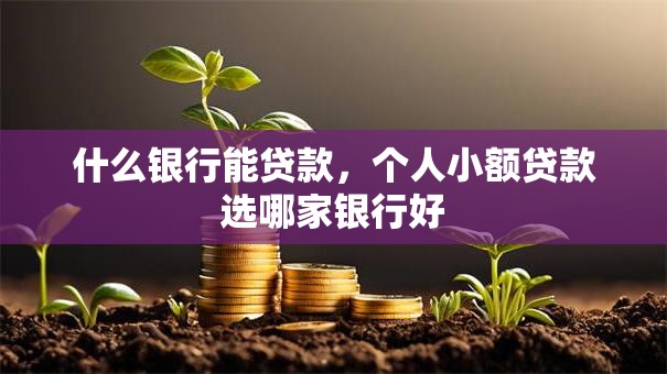 什么银行能贷款，个人小额贷款选哪家银行好