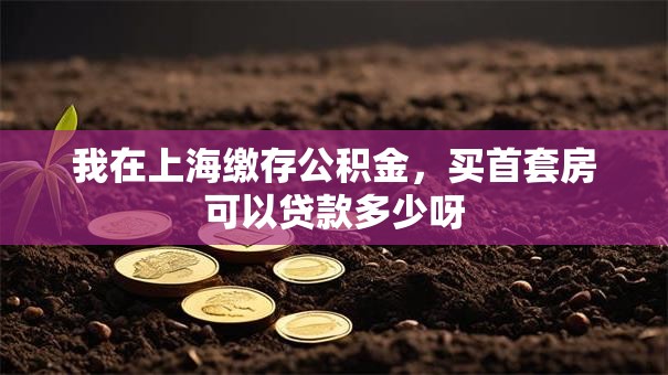 我在上海缴存公积金，买首套房可以贷款多少呀