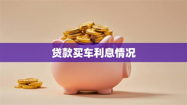 贷款买车利息情况