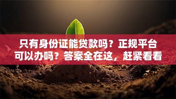只有身份证能贷款吗？正规平台可以办吗？答案全在这，赶紧看看