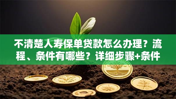 不清楚人寿保单贷款怎么办理？流程、条件有哪些？详细步骤+条件说明赶紧收藏！