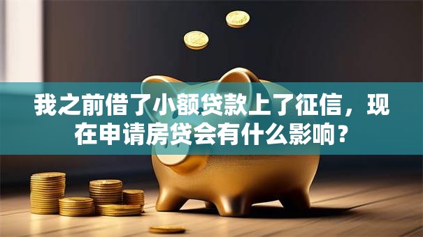 我之前借了小额贷款上了征信，现在申请房贷会有什么影响？