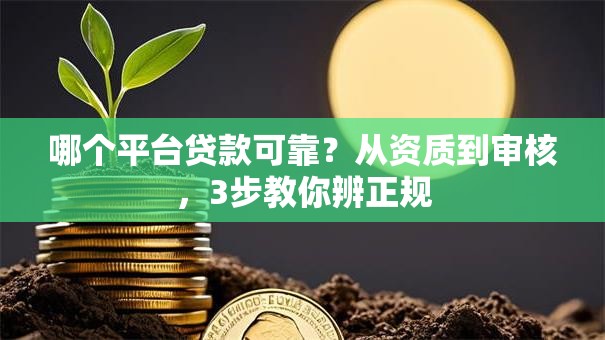 哪个平台贷款可靠？从资质到审核，3步教你辨正规