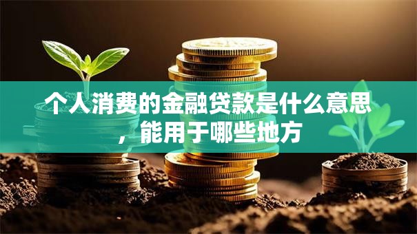 个人消费的金融贷款是什么意思，能用于哪些地方