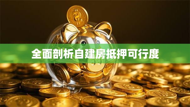 全面剖析自建房抵押可行度