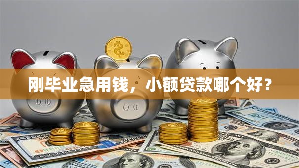 刚毕业急用钱，小额贷款哪个好？