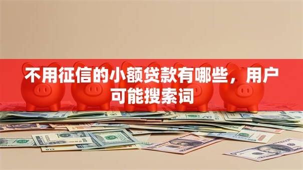 不用征信的小额贷款有哪些，用户可能搜索词