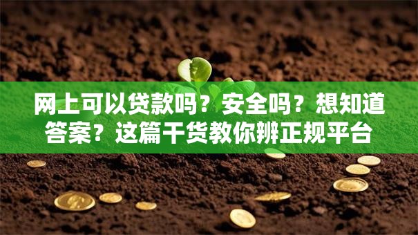 网上可以贷款吗？安全吗？想知道答案？这篇干货教你辨正规平台，放心贷！