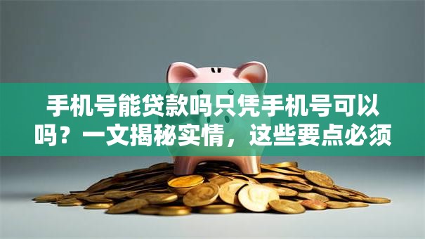 手机号能贷款吗只凭手机号可以吗？一文揭秘实情，这些要点必须了解！