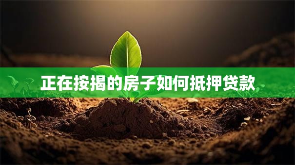 正在按揭的房子如何抵押贷款
