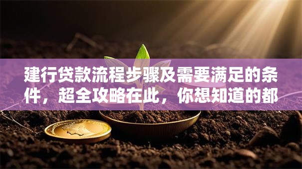 建行贷款流程步骤及需要满足的条件，超全攻略在此，你想知道的都在这啦