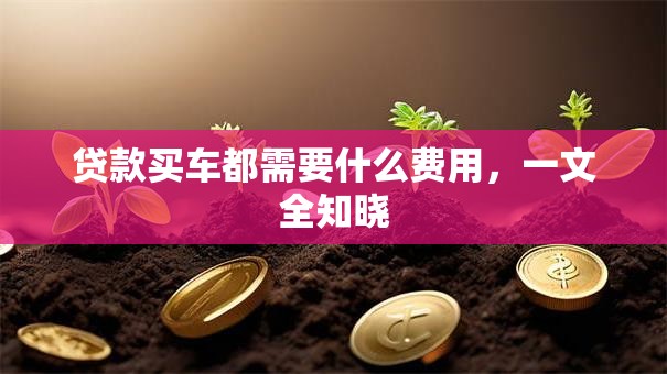 贷款买车都需要什么费用，一文全知晓
