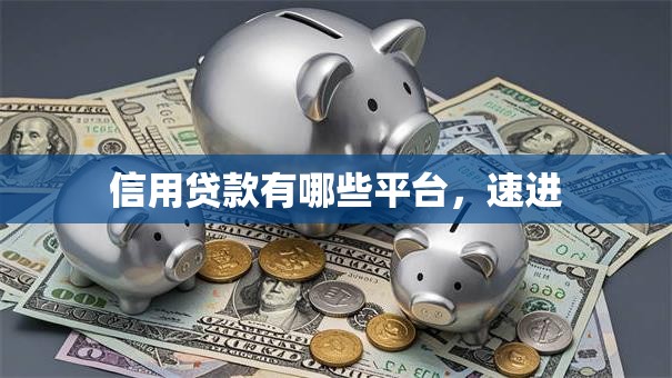 信用贷款有哪些平台，速进