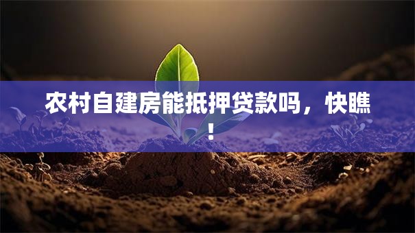农村自建房能抵押贷款吗，快瞧！