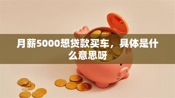 月薪5000想贷款买车，具体是什么意思呀