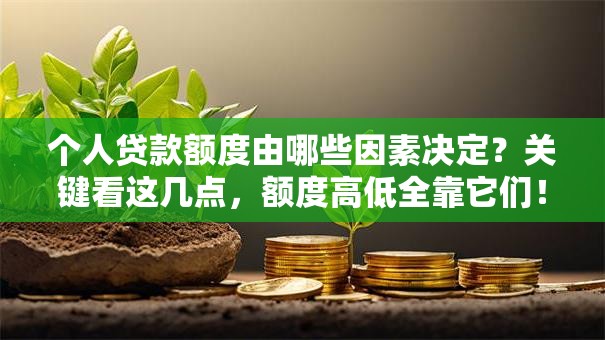 个人贷款额度由哪些因素决定？关键看这几点，额度高低全靠它们！