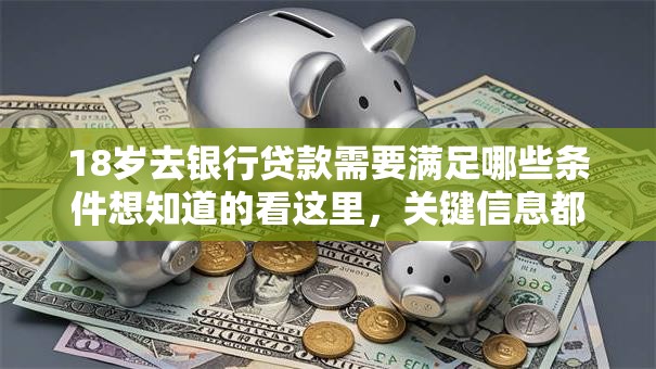 18岁去银行贷款需要满足哪些条件想知道的看这里，关键信息都给你整理好了