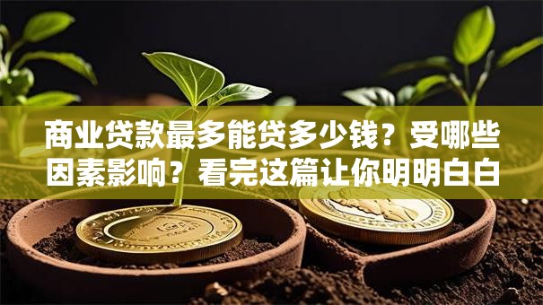 商业贷款最多能贷多少钱？受哪些因素影响？看完这篇让你明明白白！