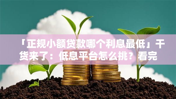 「正规小额贷款哪个利息最低」干货来了：低息平台怎么挑？看完选对不吃亏