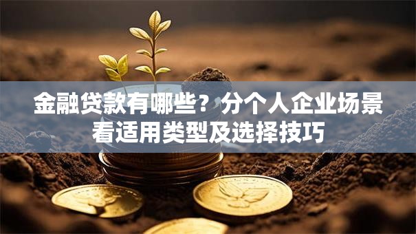 金融贷款有哪些？分个人企业场景看适用类型及选择技巧