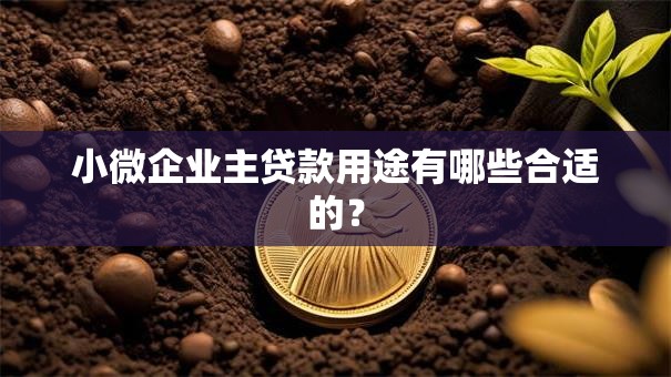 小微企业主贷款用途有哪些合适的？