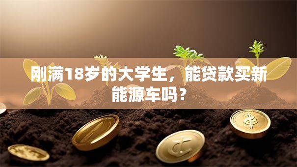 刚满18岁的大学生，能贷款买新能源车吗？