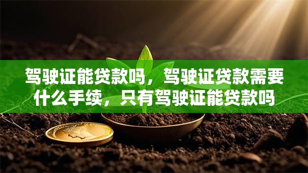 驾驶证能贷款吗，驾驶证贷款需要什么手续，只有驾驶证能贷款吗