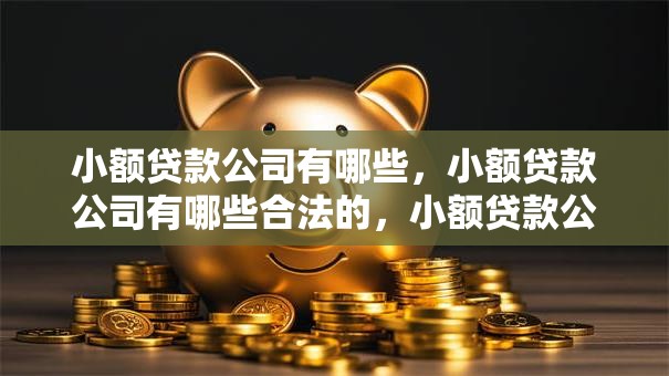 小额贷款公司有哪些，小额贷款公司有哪些合法的，小额贷款公司有哪些利息低的