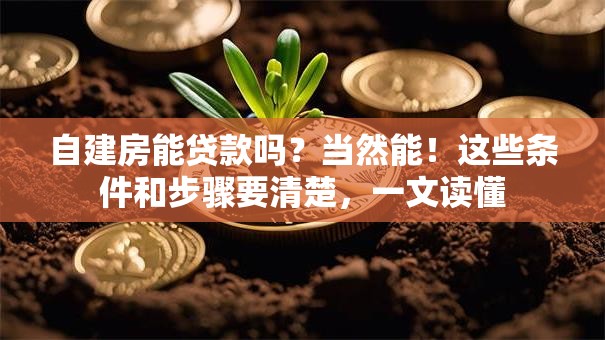 自建房能贷款吗？当然能！这些条件和步骤要清楚，一文读懂