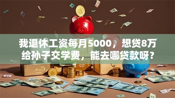 我退休工资每月5000，想贷8万给孙子交学费，能去哪贷款呀？