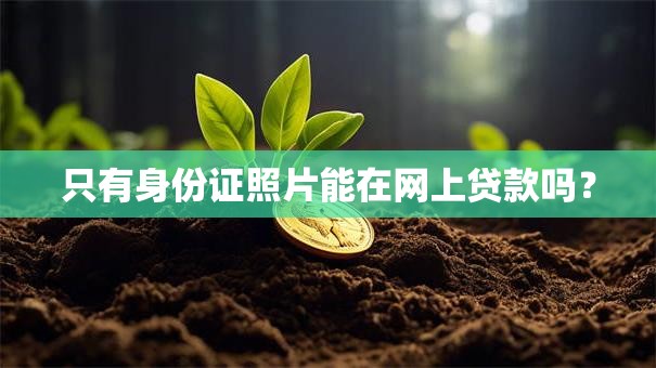 只有身份证照片能在网上贷款吗？
