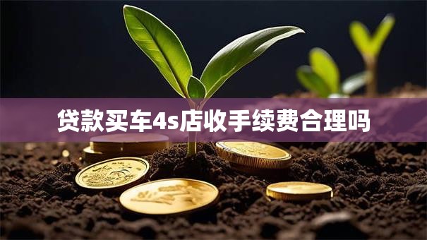 贷款买车4s店收手续费合理吗