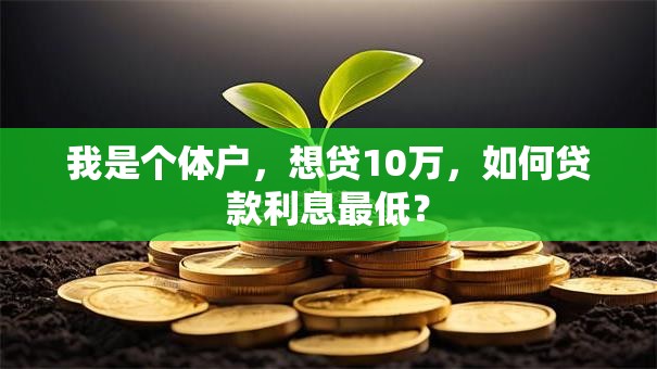 我是个体户，想贷10万，如何贷款利息最低？