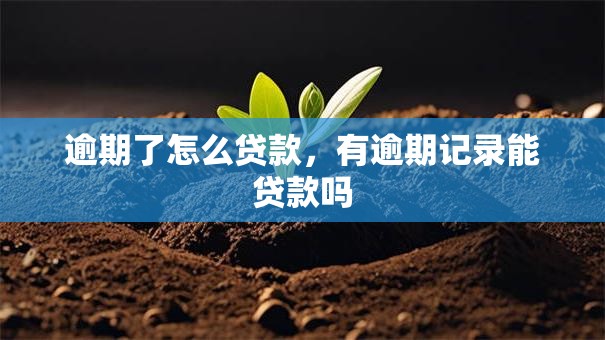 逾期了怎么贷款，有逾期记录能贷款吗
