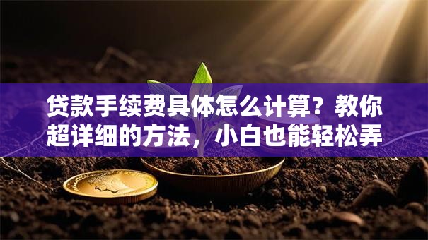 贷款手续费具体怎么计算？教你超详细的方法，小白也能轻松弄明白