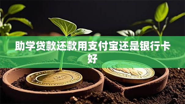助学贷款还款用支付宝还是银行卡好
