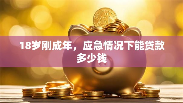 18岁刚成年，应急情况下能贷款多少钱