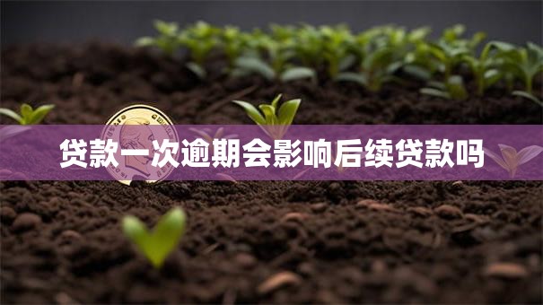 贷款一次逾期会影响后续贷款吗