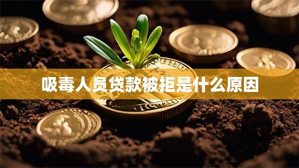 吸毒人员贷款被拒是什么原因